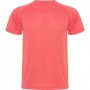 CAMISETA MONTECARLO