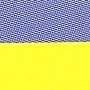 4-AMARILLO-AZULINA